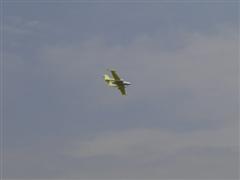 PICT2161.JPG